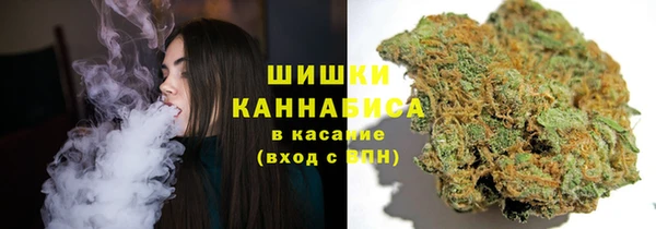 2c-b Бородино