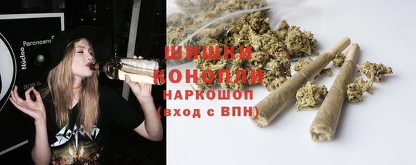 2c-b Бородино