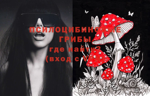 амф Бугульма