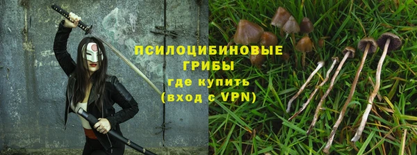 амф Бугульма
