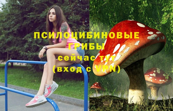 амф Бугульма