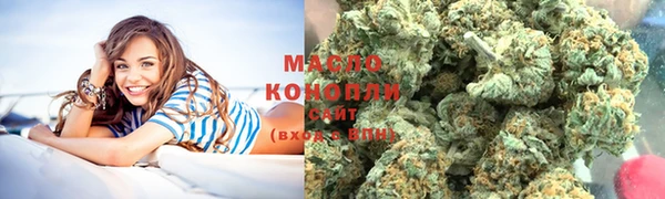 2c-b Бородино
