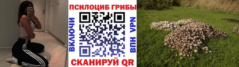 KRAKEN маркетплейс  Коркино  Галлюциногенные грибы мухоморы 